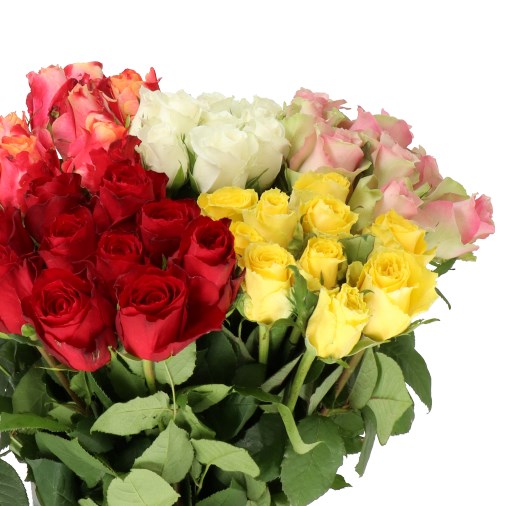 ROSE MIX (SMALL HEADS)
