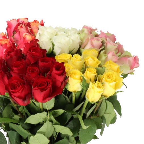 ROSE MIX (SMALL HEADS)