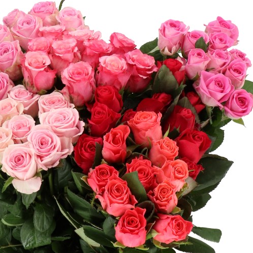 ROSE PINK MIX (SMALL HEADS)
