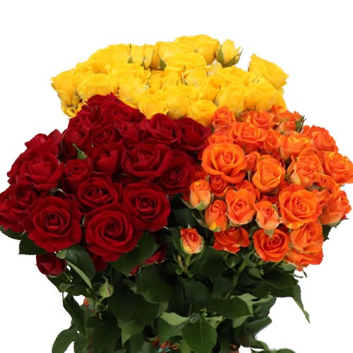 ROSE SPRAY AUTUMN MIX (SMALL HEADS)