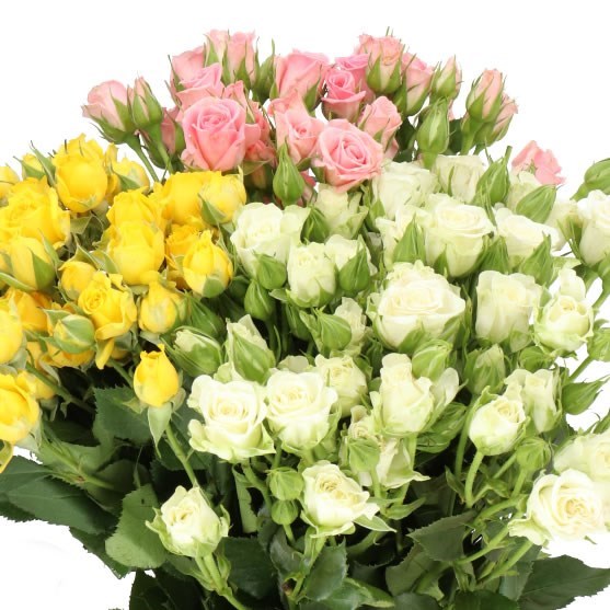 ROSE SPRAY EASTER MIX