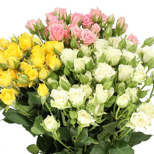 ROSE SPRAY EASTER MIX