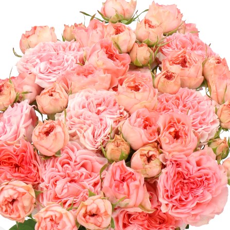 ROSE SPRAY GRANDMAS MARY
