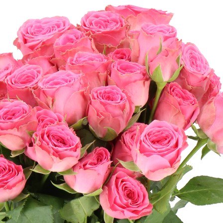 ROSE SPRAY PAULETTE (SMALL HEADS)