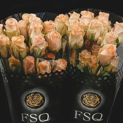 ROSE TIFFANY (ECUADOR LARGE HEADS)