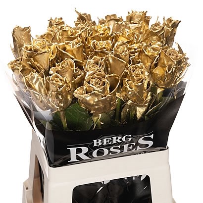 ROSE WAXED ATHENA GOLD