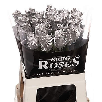 ROSE WAXED ATHENA SILVER