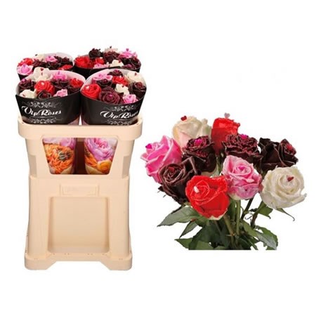 ROSE WAXED CHOCO LOVE MIX