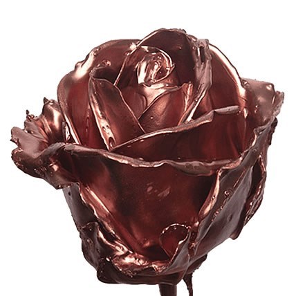ROSE WAXED COPPER