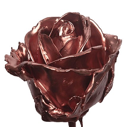 ROSE WAXED COPPER
