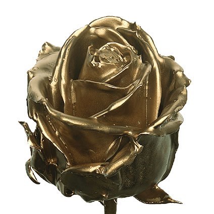 ROSE WAXED GOLD