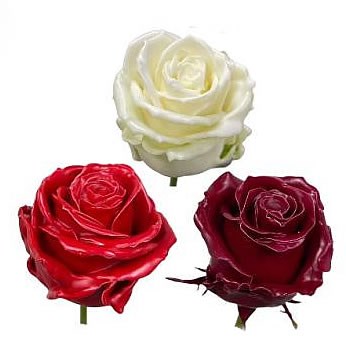 ROSE WAXED VIP MIX