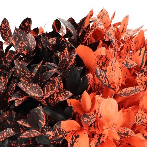 RUSCUS DYED HALLOWEEN SPLASH MIX
