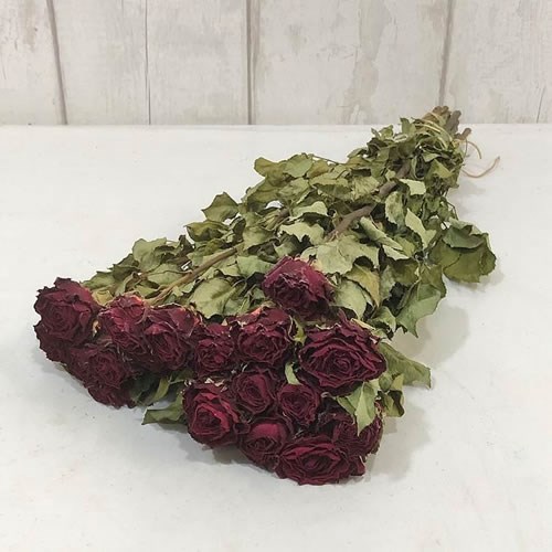 Red Rose Bunch - Dried