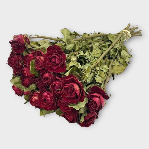 Red Roses (Dried)