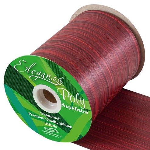 Ribbon Poly - Aspidistra Print  (Red) 100mm 