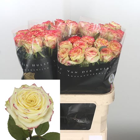 Rose Apple Park