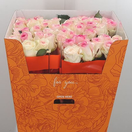 Rose Dolce Vita