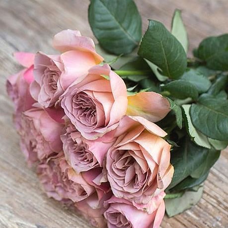 Rose Garden Cafe Latte (scented)