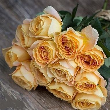 Rose Garden Caramel Antique