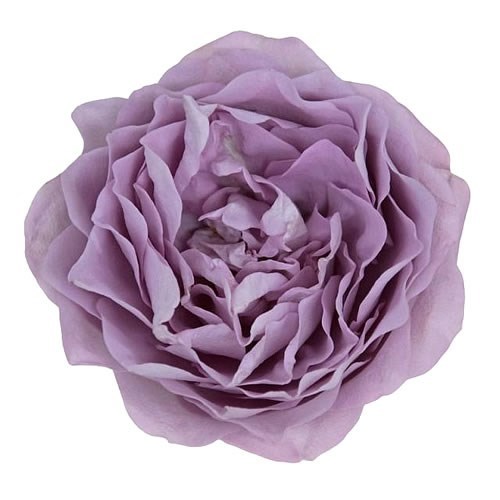 Rose Garden Lavender Bouquet