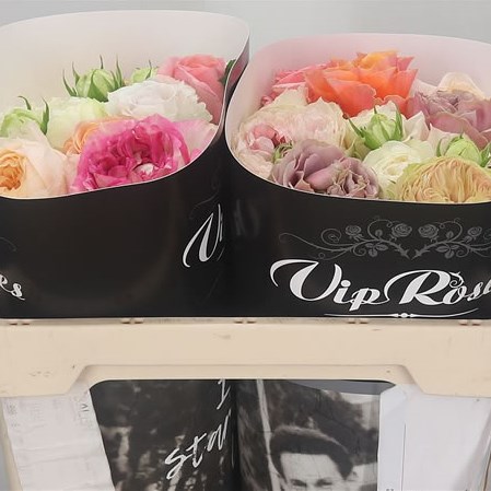 Rose Garden Mix