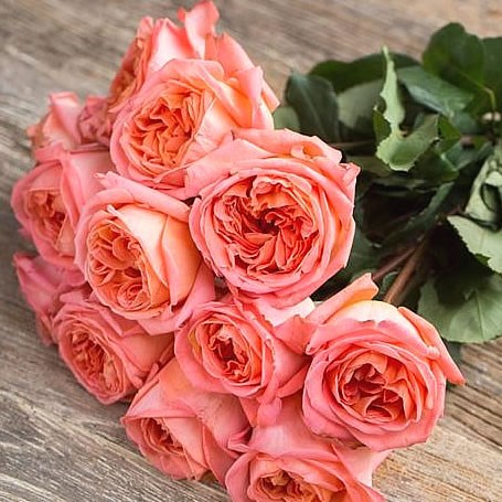 Rose Garden Rene Goscinny (scented)