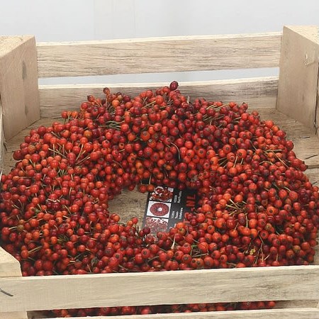 Rose Hip Wreath 30cm