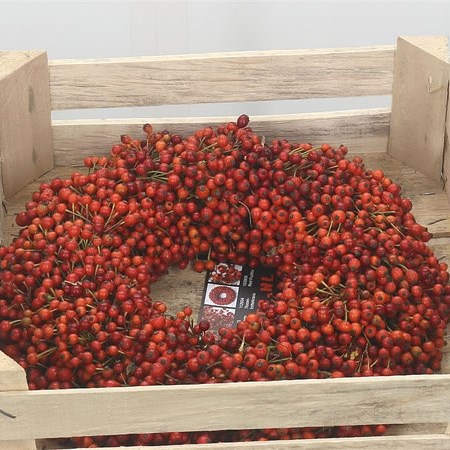 Rose Hip Wreath 30cm