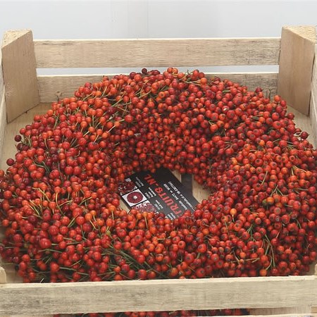 Rose Hip Wreath 35cm