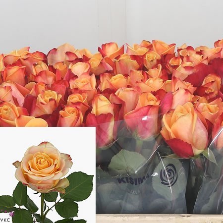 Rose pebbles