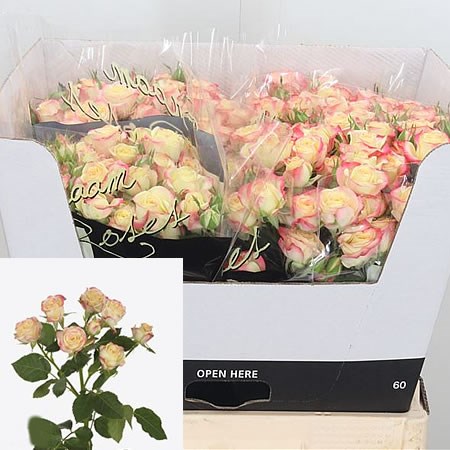 Rose Spray Candelicious