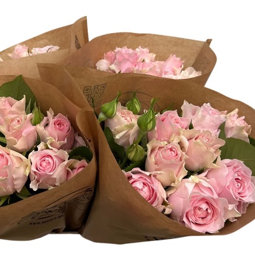 Rose Spray Country Spirit Peonia