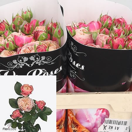 Rose Spray Victorian Classic