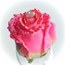 Roses waxed Choco Dream 2 R312