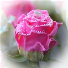 Roses waxed Choco Dream 3 R313