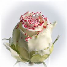 Roses waxed Choco Dream 6 R316