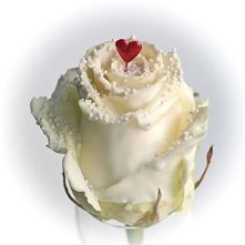 Roses waxed Choco Dream 7 R317