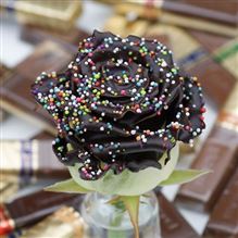 Roses waxed Dame Blanche Disco R271