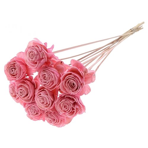 SHOLA BEAUTY ROSE PICKS - LIGHT PINK