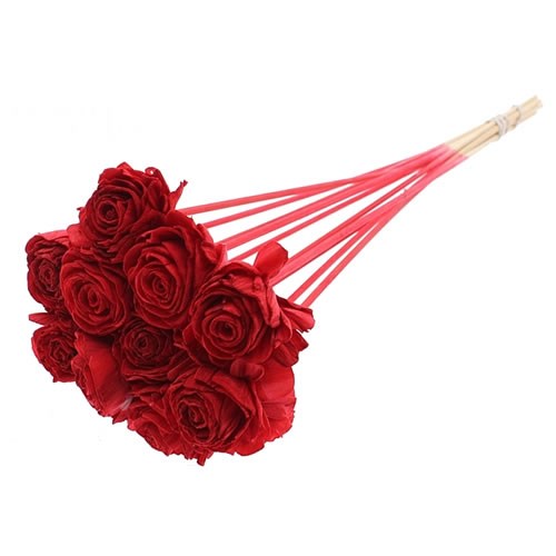 SHOLA BEAUTY ROSE PICKS - RED