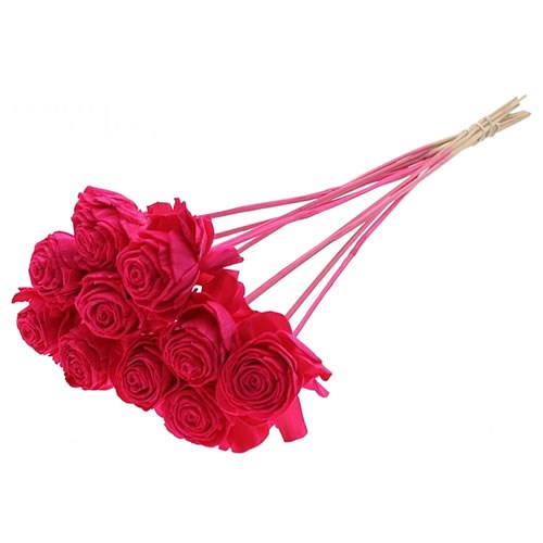 SHOLA DHALIYA PICKS - CERISE