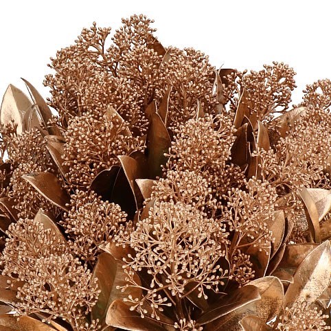 SKIMMIA DYED COPPER