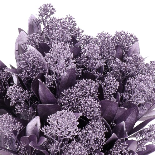 SKIMMIA DYED LAVENDER METALLIC