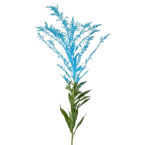 SOLIDAGO DYED LIGHT BLUE