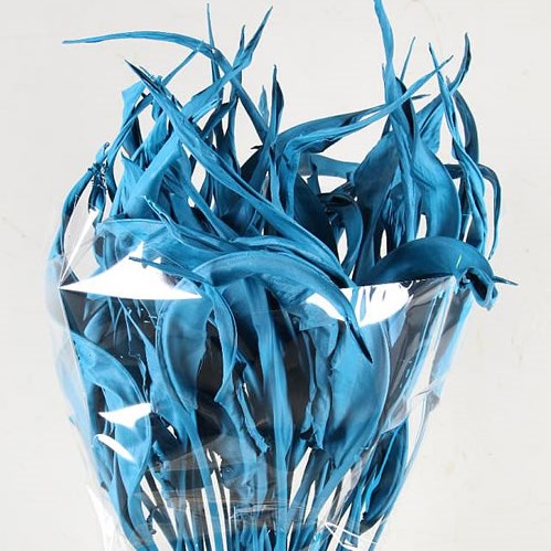 STRELITZIA LEAVES DYED TURQUOISE (DRIED)