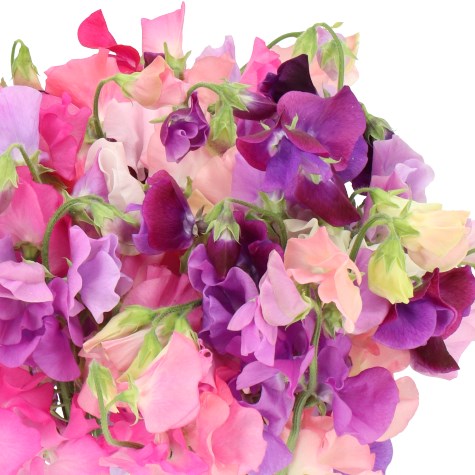 SWEET PEAS PARFUM MIX