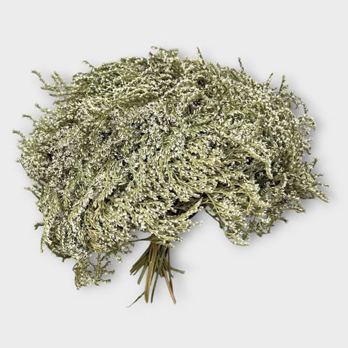 Sea Lavender English - Dried