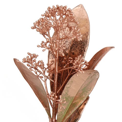 Skimmia dyed Copper