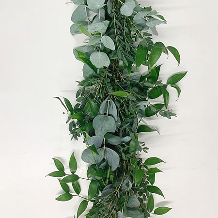 Soft Ruscus, Eucalyptus Cinerea & Parvifolia Garlands